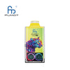 RandM Leopard 40000 Puffs Disposable Vape (Box of 10)