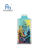 RandM Leopard 40000 Puffs Disposable Vape (Box of 10)