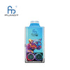 RandM Leopard 40000 Puffs Disposable Vape (Box of 10)