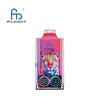 RandM Leopard 40000 Puffs Disposable Vape (Box of 10)