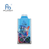 RandM Leopard 40000 Puffs Disposable Vape (Box of 10)