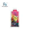 RandM Leopard 40000 Puffs Disposable Vape (Box of 10)