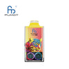 RandM Leopard 40000 Puffs Disposable Vape (Box of 10)