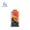 RandM Leopard 40000 Puffs Disposable Vape (Box of 10)