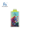 RandM Leopard 40000 Puffs Disposable Vape (Box of 10)