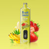 REndM Shisha 25000 Puffs (Box of 10)
