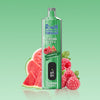 REndM Shisha 25000 Puffs (Box of 10)