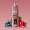 REndM Shisha 25000 Puffs (Box of 10)