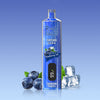 REndM Shisha 25000 Puffs (Box of 10)