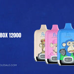 RAndM Digital Box 12000 Instructions