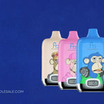 How to Use & Maintain Your RAndM Digital Box 12000?