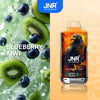 JNR Falcon X 18k Puffs (Box of 10) - Blueberry Kiwi
