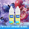 JNR Liquid (Box of 10) - Blueberry Pomegranate Ice